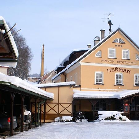 Pension Herman Rudník エクステリア 写真